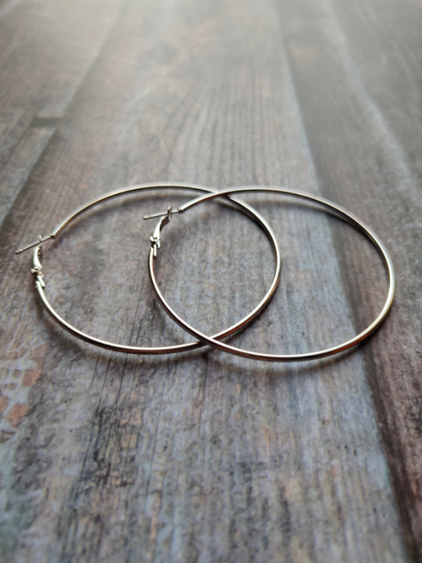Silver Hoop Dangler Earrings