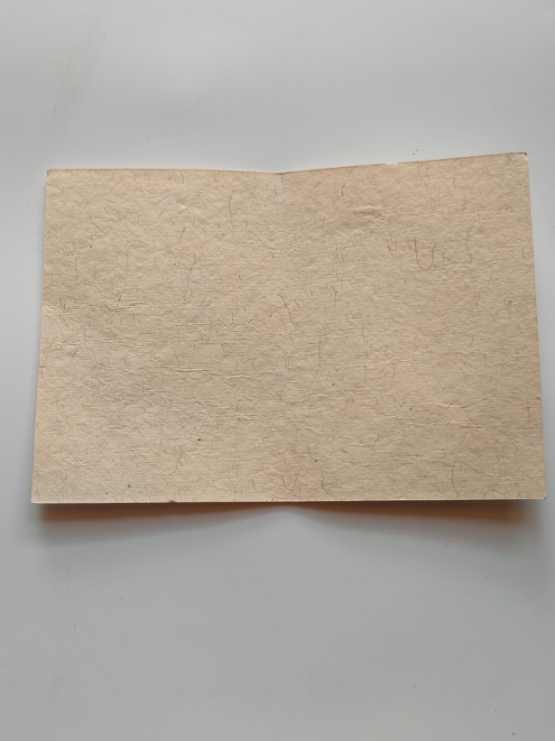 Eco-Friendly Handmade Jute & Cloth Rakhi with Dried Leaves and Flower Petals (Comes with a Reusable Cloth Pouch and Recycled Paper Card)