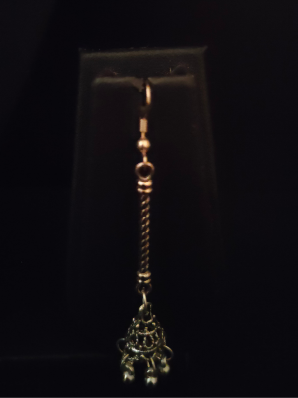 Long Chain Oxidised Silver Necklace Set with Dangler Earrings