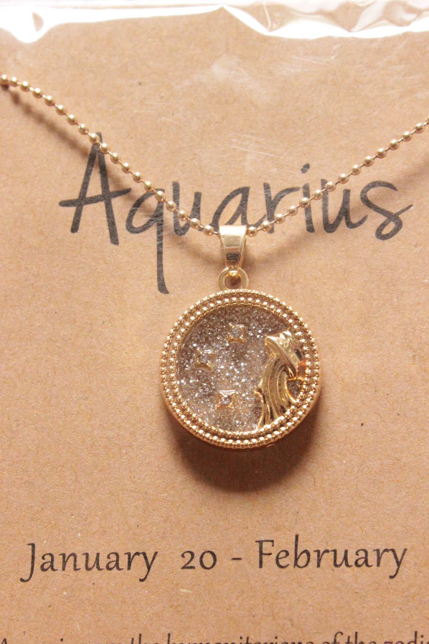 Aquarius Sun Sign Gold Plated Day Style Round Resin Horoscope Astrology Minimalist Pendant Necklace with Card