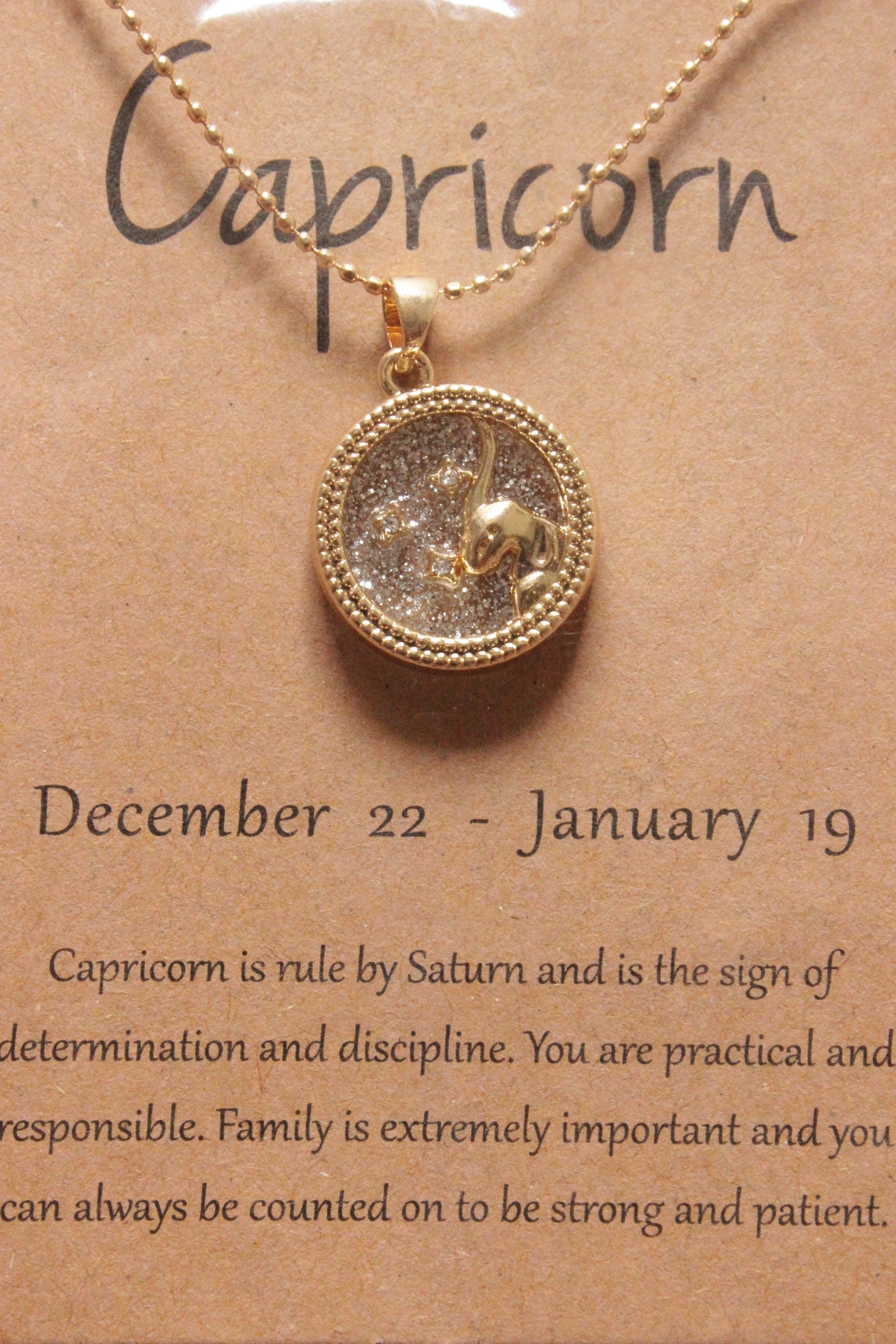 Capricorn Sun Sign Gold Plated Day Style Round Resin Horoscope Astrology Minimalist Pendant Necklace with Card
