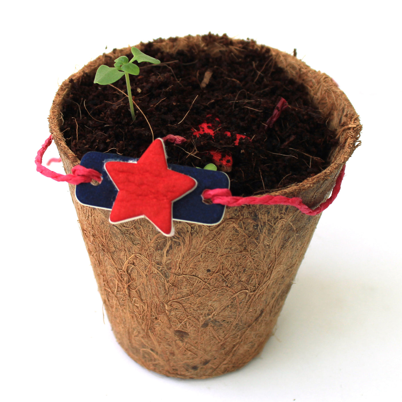 Plantable Rakhi - Growing Kit