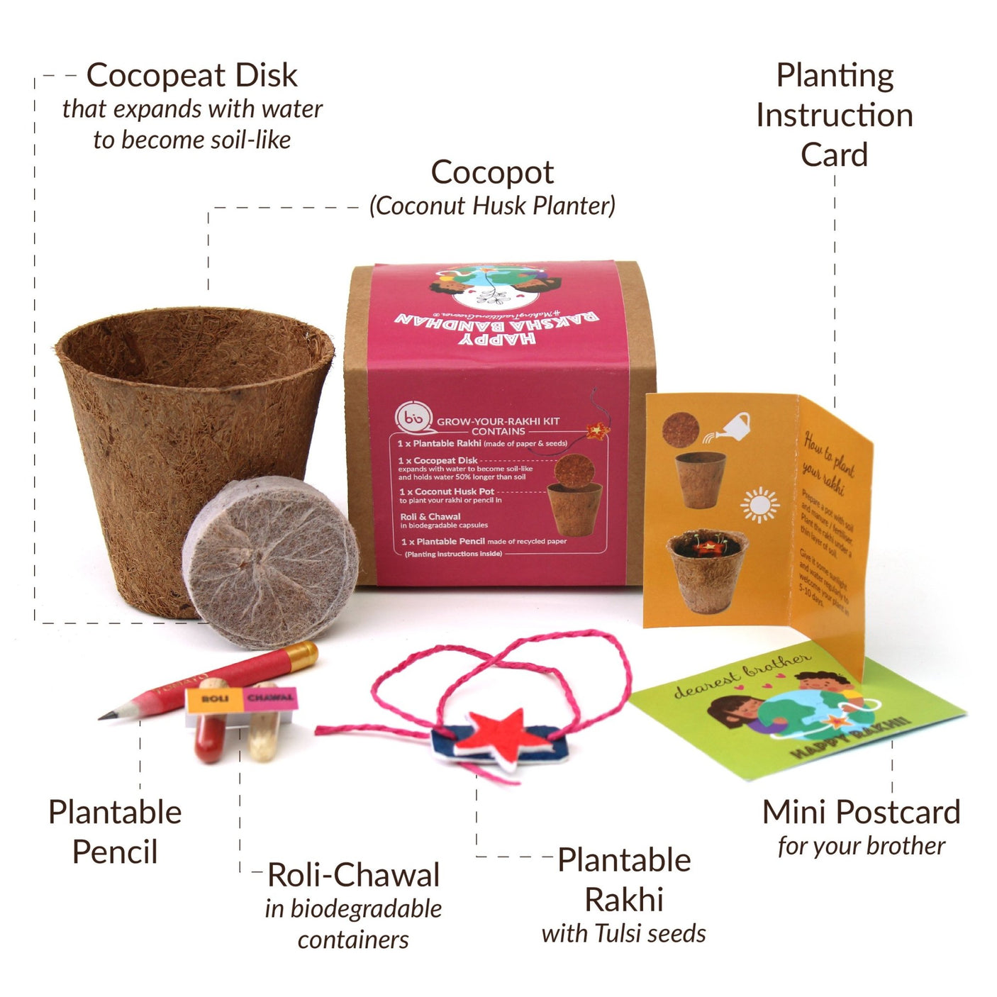 Plantable Rakhi - Growing Kit - A Local Tribe