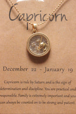 Load image into Gallery viewer, Capricorn Sun Sign Gold Plated Day Style Round Resin Horoscope Astrology Minimalist Pendant Necklace with Card
