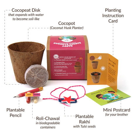 Plantable Rakhi - Growing Kit - A Local Tribe